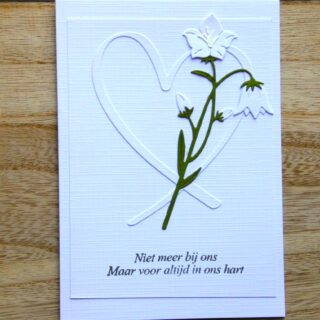 Condoleancekaart wit/groen, hart met witte bloem, tekst Niet meer bij ons................ A6