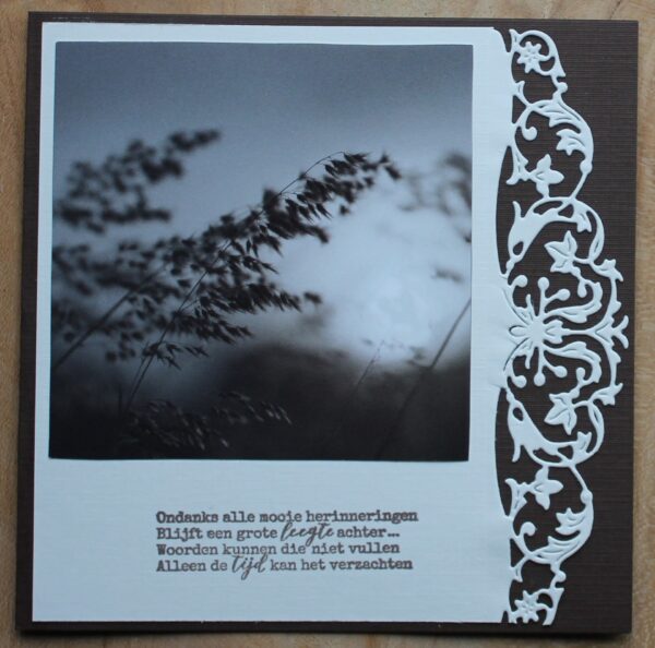 Condoleancekaart donkerbruin/wit, Classic border plaatje wuivend gras, tekst Ondanks alle mooie herinneringen........