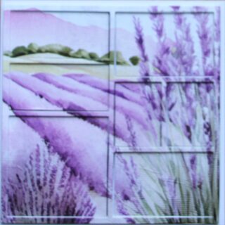 Dieptekaart, lavendelveld met lavendelstruik op voorgrond